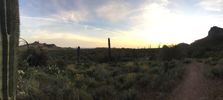 homemade onlyfans hot pic