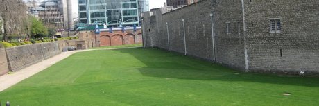 squirting pussy onlyfans sexy nudes img