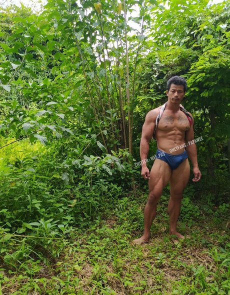 Papawee best star images