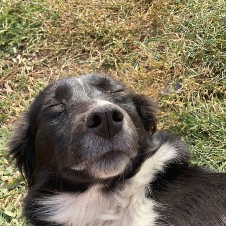 Andrejka model sex pics