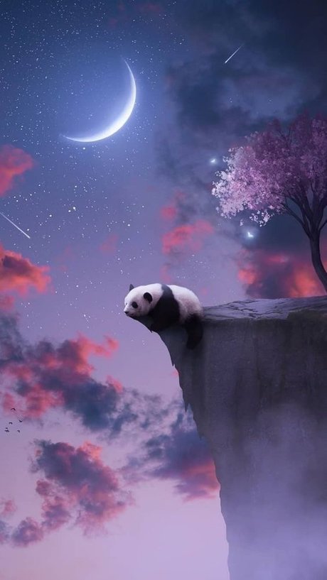 Pandababii93 star free pictures