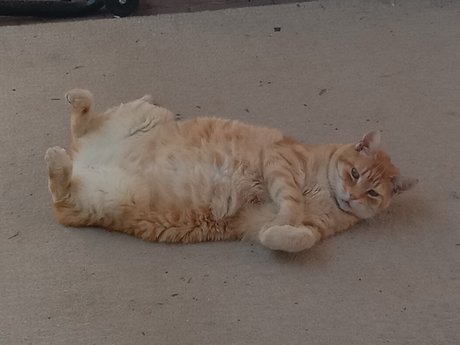 Domain8 photography high quality actress picture