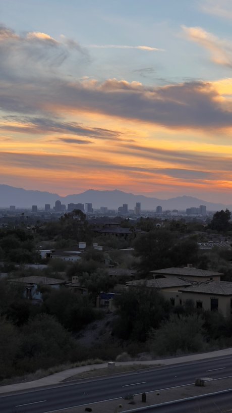 Penguin pretty model galleries