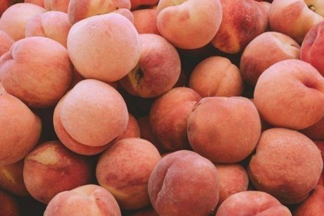 avlan pornstar art galleries