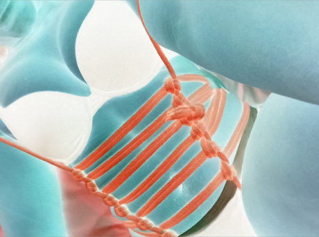 _Doll DEITY adult actress galleries