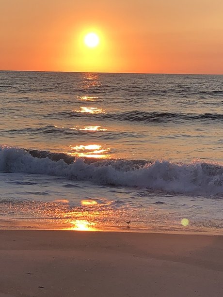 beach bum 102019 nudes actress pics