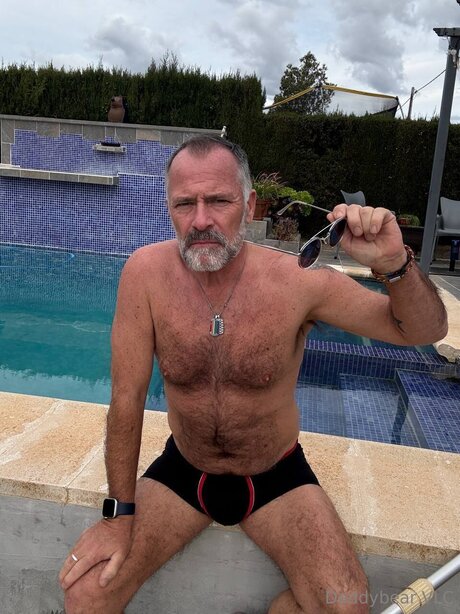 Daddy bear hd model photo