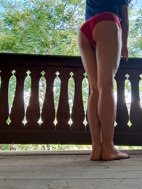 Pi Guasu free model gallery