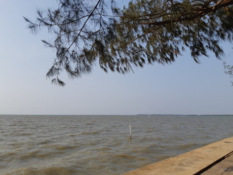 Chiba adult model pictures