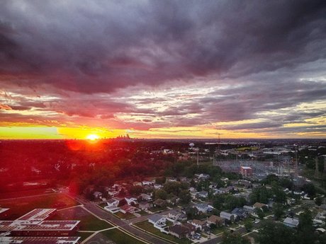 Brian_ star free img