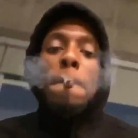 Gut Digger pornographic actress images