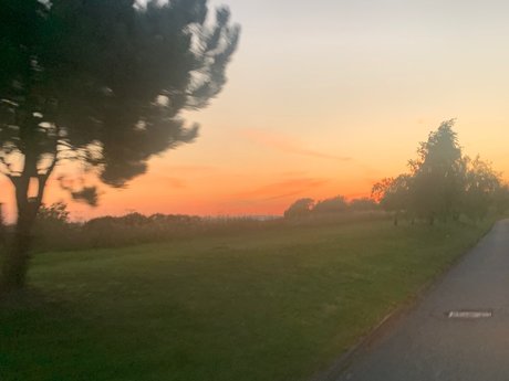 asian princess onlyfans sexy pictures