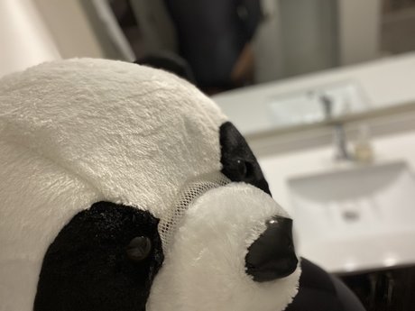 PlayBear model perfect image