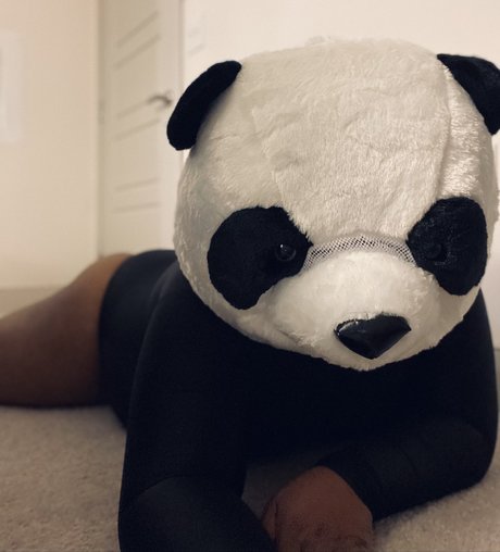 PlayBear pornstar perfect images