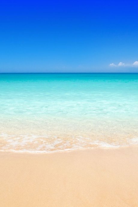 Ms Marie Honda star top picture