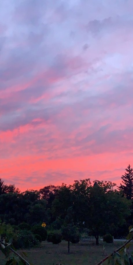 Kaye adult model pictures