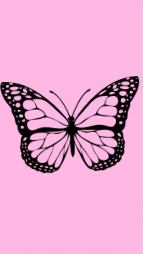 Carmen carter erotic star archive