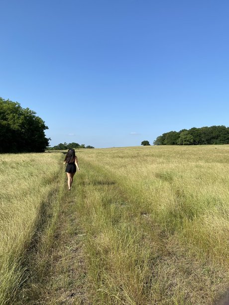 Dani Dang nude pornstar pic