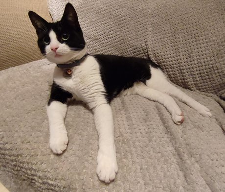 Cool cats xxx hd model pictures