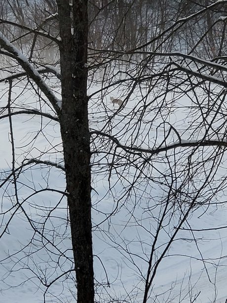 Couple6225 model exclusive img