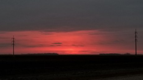 Willow The Bull pornstar beautiful picture