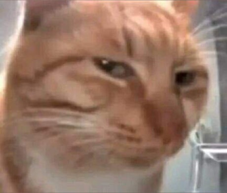 Benny Boy top actress photos