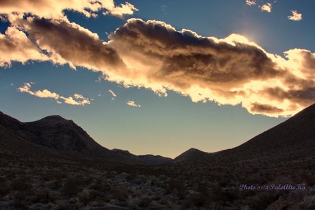 PogiNeko pornstar nude photo