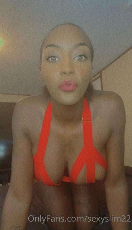 sexyslim22 nice pornstar gallery
