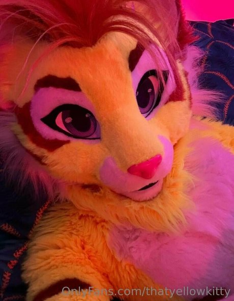 thatyellowkitty model erotic pictures