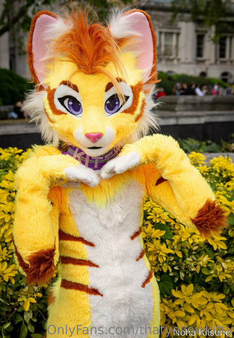 thatyellowkitty naked pornstar gallery