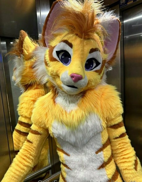 thatyellowkitty hd actress img