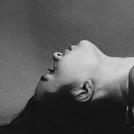 bellanorthvip star image