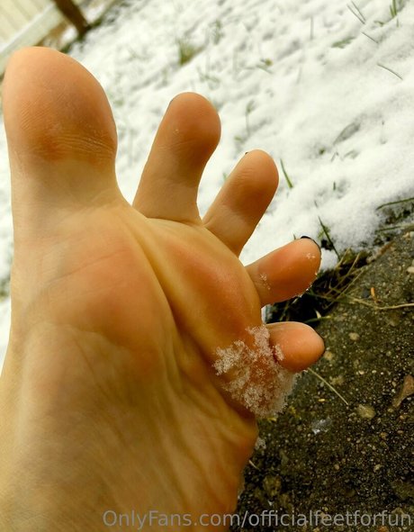 prone onlyfans top galleries