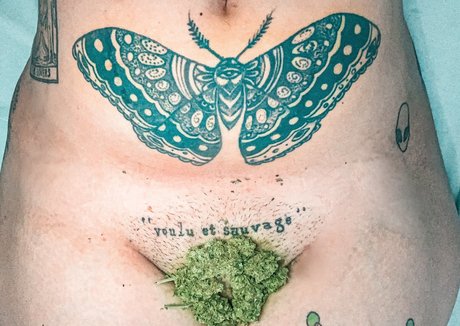 Lifeaspimenta star naked photos