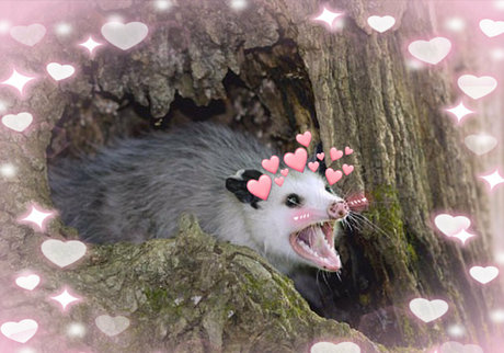 teen asian onlyfans free sexy pic