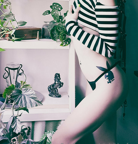 siipirikko free actress photos