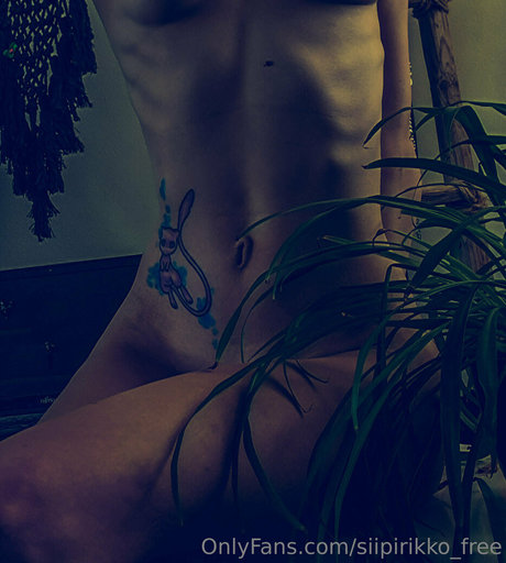 siipirikko free star perfect img