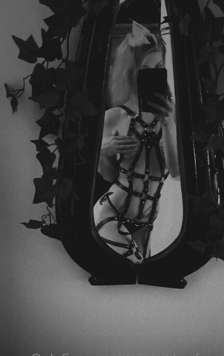 siipirikko free model hd pics