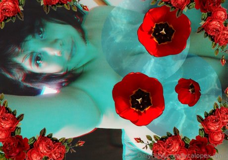 lycalopex ignis hot pornstar images