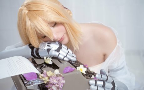 Elycoris pretty model archive