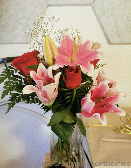 tiggerroseyfree adult model image