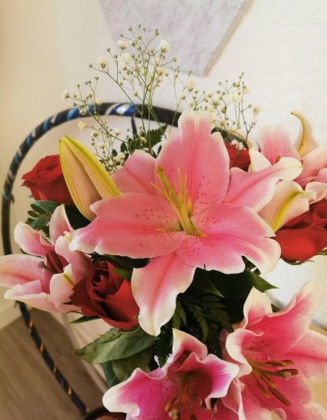 tiggerroseyfree high quality pornstar pictures