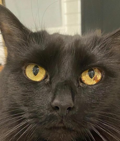 Jeri Ryan art pornstar images