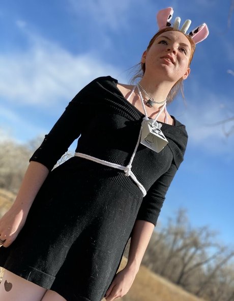 irisjaxx665 Profile photo