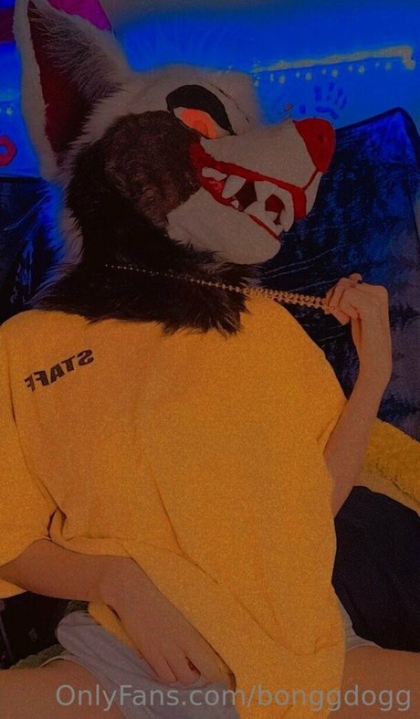 Bonggdogg star top images