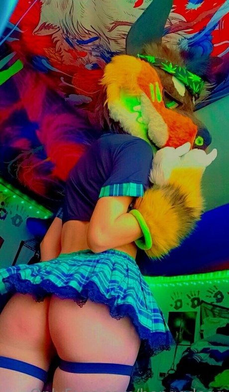 Bonggdogg star pornographic pic