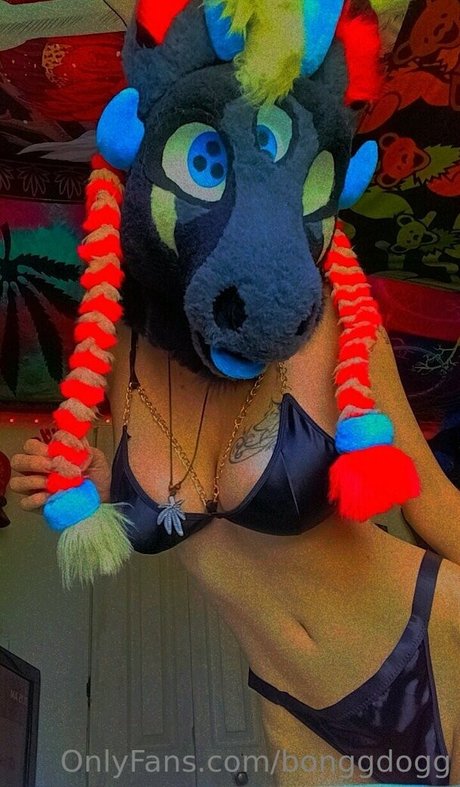 Bonggdogg model exclusive photos