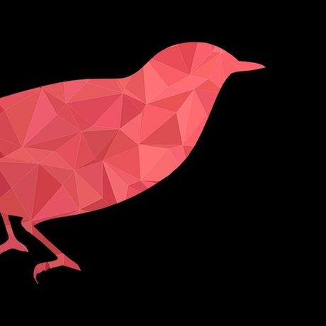 Corbeau Rouge star sex image