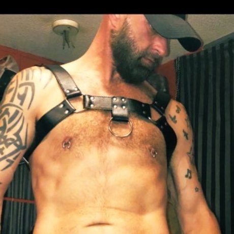 BigMike2022 pornstar top archive