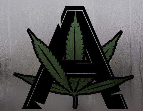 ClubArrogance nudes actress gallery